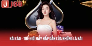 Bài cào
