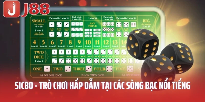 Sicbo - Trò chơi hấp dẫn tại các sòng bạc nổi tiếng
